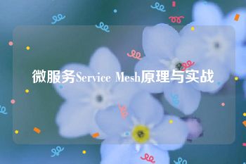 微服务Service Mesh原理与实战