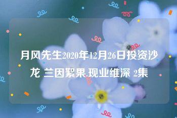 月风先生2020年12月26日投资沙龙 兰因絮果.现业维深 2集