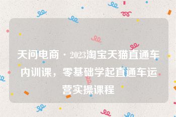 天问电商·2023淘宝天猫直通车内训课，零基础学起直通车运营实操课程