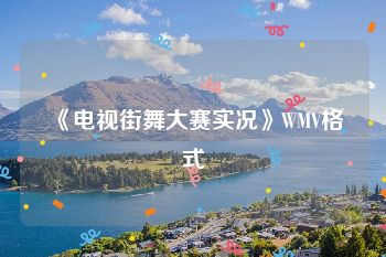 《电视街舞大赛实况》WMV格式