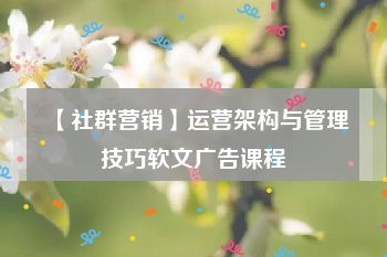 【社群营销】运营架构与管理技巧软文广告课程