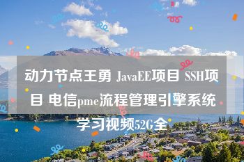 动力节点王勇 JavaEE项目 SSH项目 电信pme流程管理引擎系统学习视频52G全