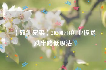 【双牛兄弟】20200914创业板暴跌半路低吸法