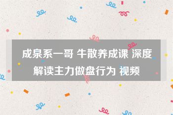 成泉系一哥 牛散养成课 深度解读主力做盘行为 视频