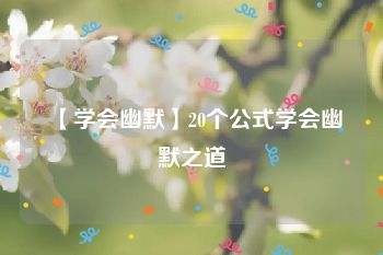 【学会幽默】20个公式学会幽默之道