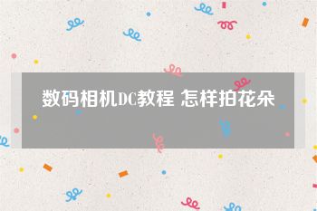 数码相机DC教程 怎样拍花朵