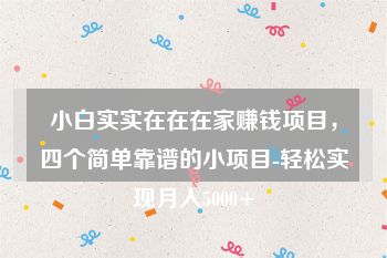 小白实实在在在家赚钱项目，四个简单靠谱的小项目-轻松实现月入5000+