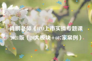 肖鹏老师《IPO上市实操专题课2021版（20大板块+607家案例）》