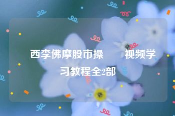 傑西李佛摩股市操盤術视频学习教程全2部