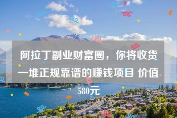 阿拉丁副业财富圈，你将收货一堆正规靠谱的赚钱项目 价值580元