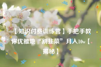 【知识付费训练营】手把手教你优雅地“割韭菜”月入10w【揭秘】