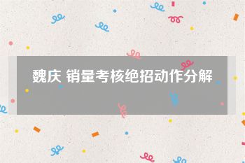 魏庆 销量考核绝招动作分解