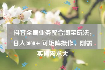 抖音全局业务配合淘宝玩法，日入3000+ 可矩阵操作，刚需实操需求大