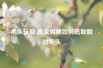 木头玩股 独家揭秘如何选取翻倍龙头