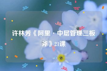 许林芳《阿里·中层管理三板斧》21课