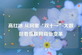 高红冰 从阿里“双十一”大数据看互联网商业变革