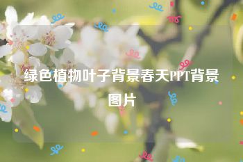 绿色植物叶子背景春天PPT背景图片