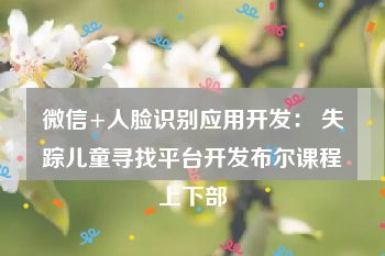 微信+人脸识别应用开发： 失踪儿童寻找平台开发布尔课程上下部