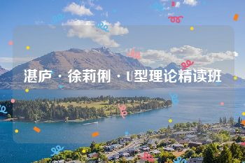 湛庐·徐莉俐·U型理论精读班
