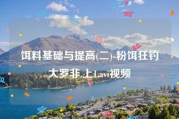 饵料基础与提高(二)-粉饵狂钓大罗非.上1.avi视频