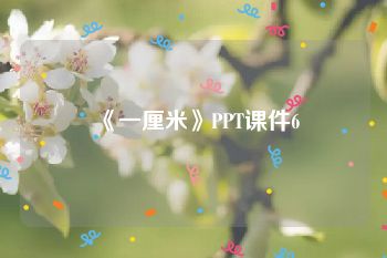 《一厘米》PPT课件6