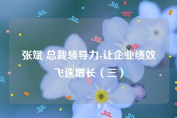 张斌 总裁领导力-让企业绩效飞速增长（三）