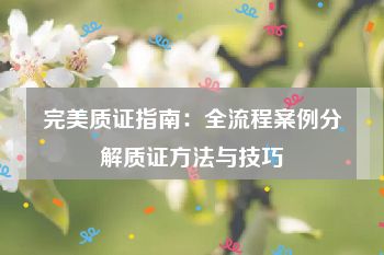 完美质证指南：全流程案例分解质证方法与技巧