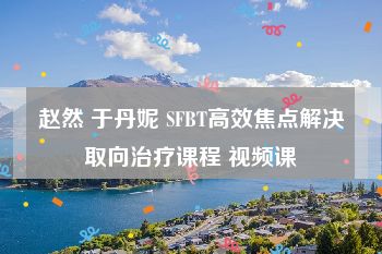 赵然 于丹妮 SFBT高效焦点解决取向治疗课程 视频课