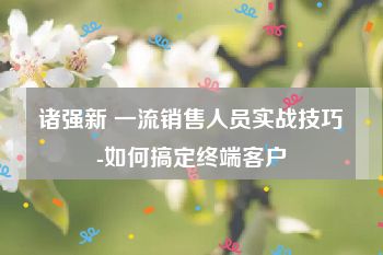 诸强新 一流销售人员实战技巧-如何搞定终端客户