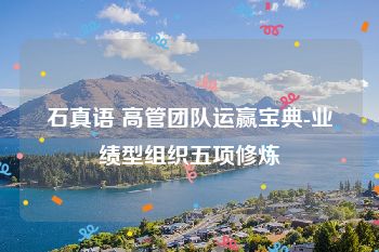 石真语 高管团队运赢宝典-业绩型组织五项修炼