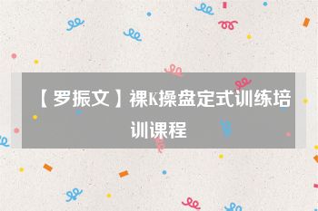 【罗振文】裸K操盘定式训练培训课程