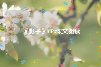 《影子》MP3课文朗读