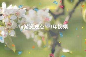 TW游资观点2021年视频