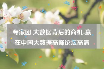 专家团 大数据背后的商机-赢在中国大数据高峰论坛高清