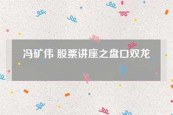 冯矿伟 股票讲座之盘口双龙
