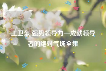 王卫东 强势领导力—成就领导者的绝对气场全集