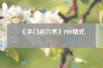 《字门点穴术》PDF格式