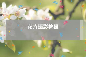 花卉摄影教程