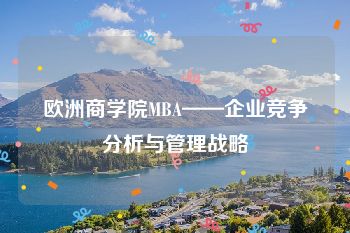 欧洲商学院MBA——企业竞争分析与管理战略