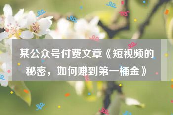 某公众号付费文章《短视频的秘密，如何赚到第一桶金》