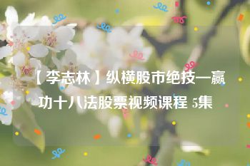 【李志林】纵横股市绝技—赢功十八法股票视频课程 5集