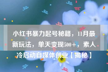 小红书暴力起号秘籍，11月最新玩法，单天变现500+，素人冷启动自媒体创业【揭秘】