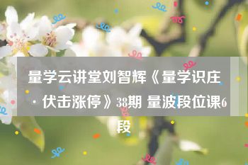 量学云讲堂刘智辉《量学识庄·伏击涨停》38期 量波段位课6段