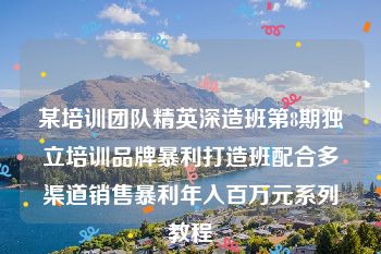 某培训团队精英深造班第8期独立培训品牌暴利打造班配合多渠道销售暴利年入百万元系列教程