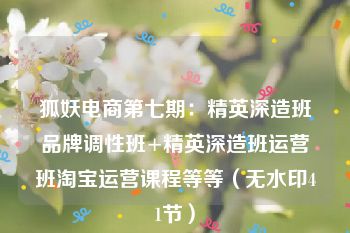 狐妖电商第七期：精英深造班品牌调性班+精英深造班运营班淘宝运营课程等等（无水印41节）
