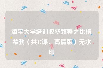 淘宝大学培训收费教程之比格希勃（共17课、高清版）无水印
