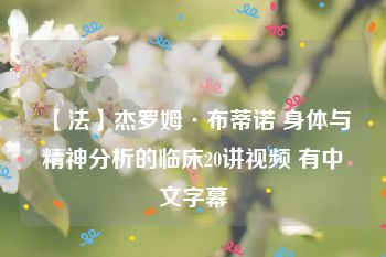 【法】杰罗姆·布蒂诺 身体与精神分析的临床20讲视频 有中文字幕