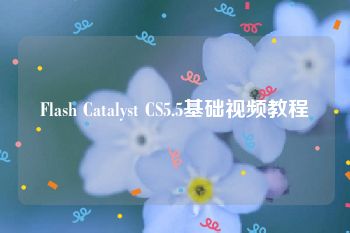 Flash Catalyst CS5.5基础视频教程