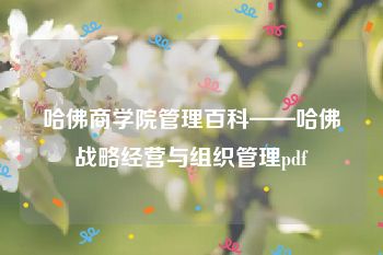 哈佛商学院管理百科——哈佛战略经营与组织管理pdf
