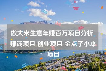 做大米生意年赚百万项目分析 赚钱项目 创业项目 金点子小本项目